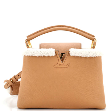 Louis Vuitton Capucines Bag Leather with Shearling BB