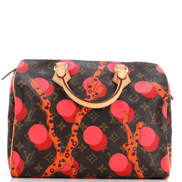 Louis Vuitton Speedy Handbag Limited Edition Monogram Ramages 30