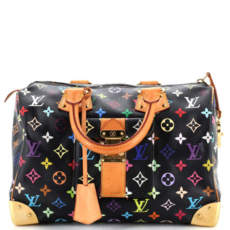 Louis Vuitton Speedy Handbag Monogram Multicolor 30