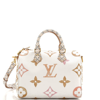 Louis Vuitton Speedy Bandouliere Bag By The Pool Monogram Watercolor Giant 25