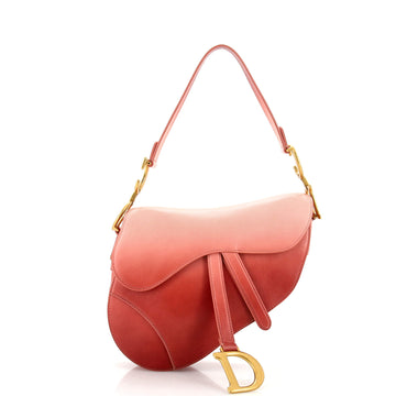 Christian Dior Saddle Handbag Gradient Leather Medium