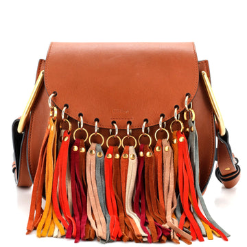 Chloe Multicolor Fringe Hudson Bag Leather Small