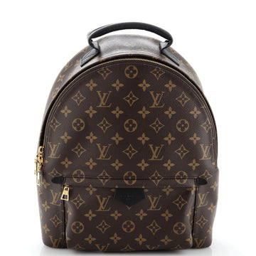 Louis Vuitton Palm Springs Backpack Monogram Canvas MM