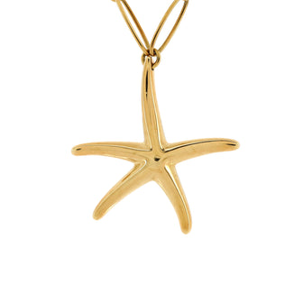 Tiffany & Co. Starfish Pendant Chain Link Necklace 18K Yellow Gold Large