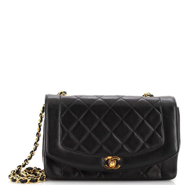 Chanel Vintage Diana Flap Bag Quilted Lambskin Medium