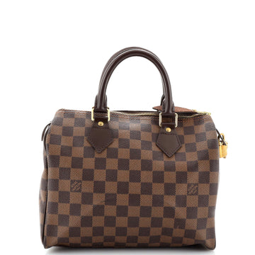 Louis Vuitton Speedy Handbag Damier 25