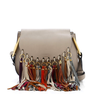 Chloe Multicolor Fringe Hudson Bag Leather Small