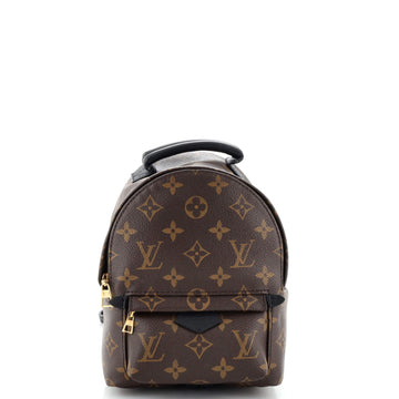 Louis Vuitton Palm Springs Backpack Monogram Canvas Mini
