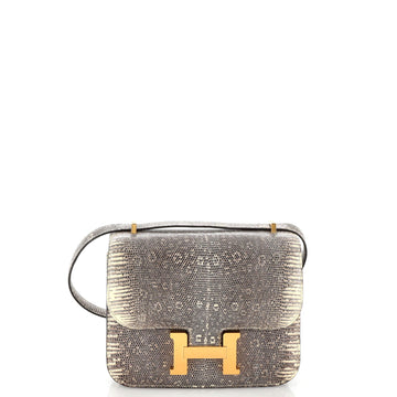 Hermes Constance Bag Ombre Lizard 18