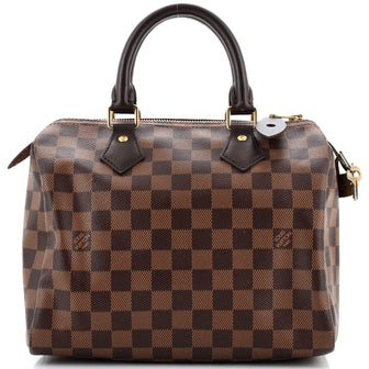 Louis Vuitton Speedy Handbag Damier 25