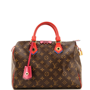 Louis Vuitton Speedy Handbag Limited Edition Totem Monogram Canvas 30