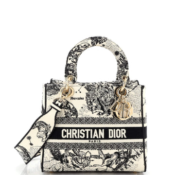 Christian Dior Toile de Jouy Lady D-Lite Bag Embroidered Canvas