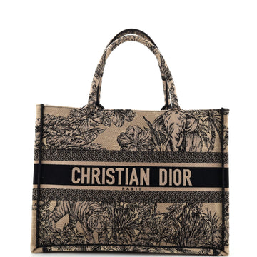 Christian Dior Book Tote Embroidered Canvas Medium