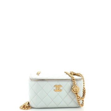 Chanel Sweet Camellia Vanity Case with Chain Quilted Lambskin Small