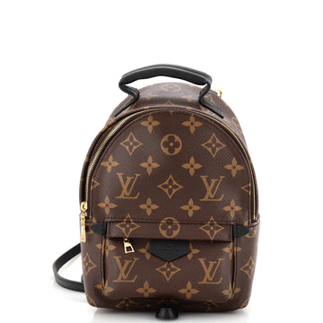 Louis Vuitton Palm Springs Backpack Monogram Canvas Mini