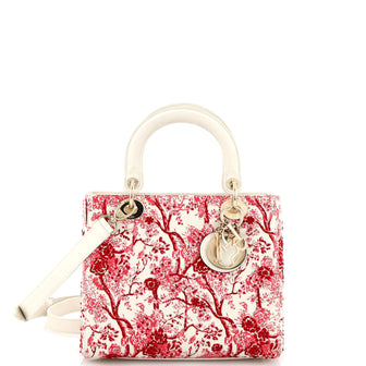 Christian Dior Toile de Jouy Lady Dior Bag Beaded Leather Medium