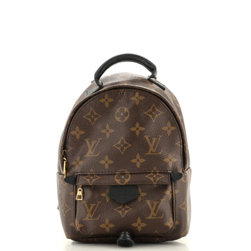 Louis Vuitton Palm Springs Backpack Monogram Canvas Mini
