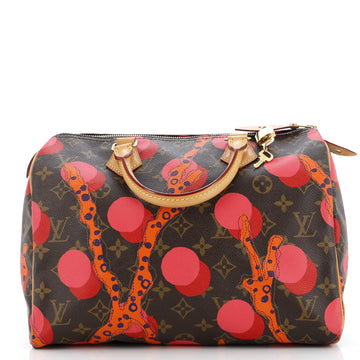 Louis Vuitton Speedy Handbag Limited Edition Monogram Ramages 30