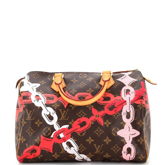 Louis Vuitton Speedy Handbag Limited Edition Bay Monogram Canvas 30