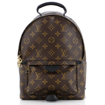 Louis Vuitton Palm Springs Backpack Monogram Canvas PM