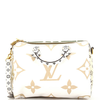 Louis Vuitton Speedy Bandouliere Bag Limited Edition Colored Monogram Giant 30