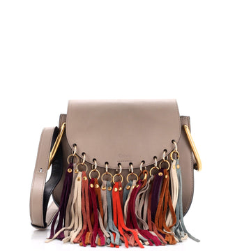 Chloe Multicolor Fringe Hudson Bag Leather Small