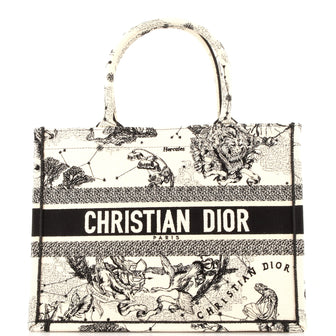 Christian Dior Book Tote Embroidered Canvas Medium