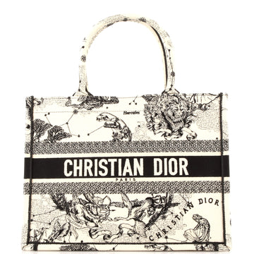 Christian Dior Book Tote Embroidered Canvas Medium