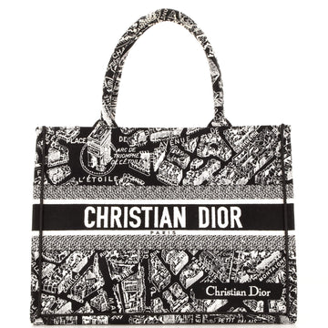 Christian Dior Book Tote Embroidered Canvas Medium