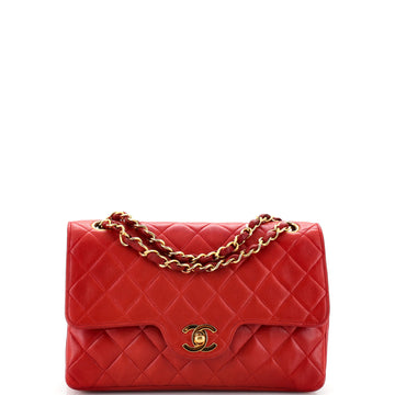 Chanel Vintage Classic Double Flap Bag Quilted Lambskin Small