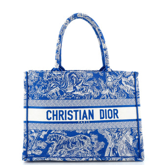 Christian Dior Book Tote Embroidered Canvas Medium