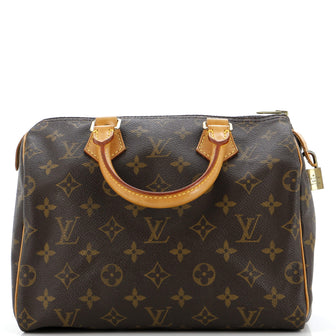 Louis Vuitton Speedy Handbag Monogram Canvas 25
