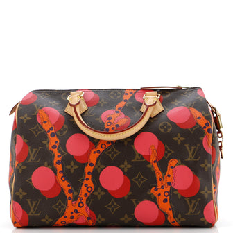 Louis Vuitton Speedy Handbag Limited Edition Monogram Ramages 30