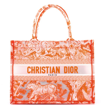 Christian Dior Book Tote Embroidered Transparent Canvas Medium