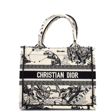 Christian Dior Book Tote Embroidered Canvas Small