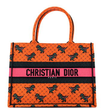 Christian Dior Book Tote Embroidered Canvas Medium