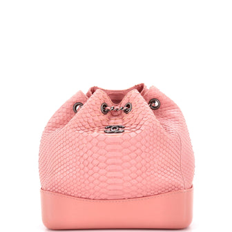 Chanel Gabrielle Backpack Python Small