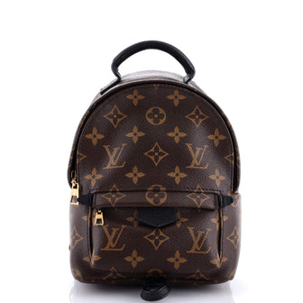 Louis Vuitton Palm Springs Backpack Monogram Canvas Mini