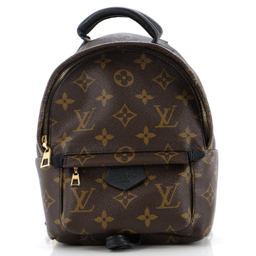 Louis Vuitton Palm Springs Backpack Monogram Canvas Mini