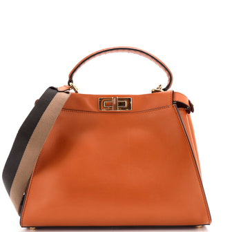 Fendi Peekaboo Bag Rigid Leather Regular