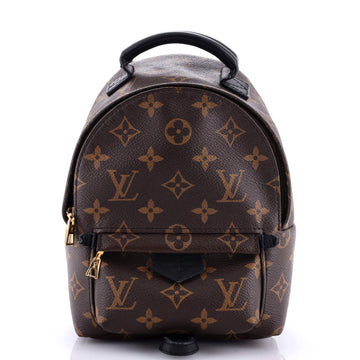 Louis Vuitton Palm Springs Backpack Monogram Canvas Mini