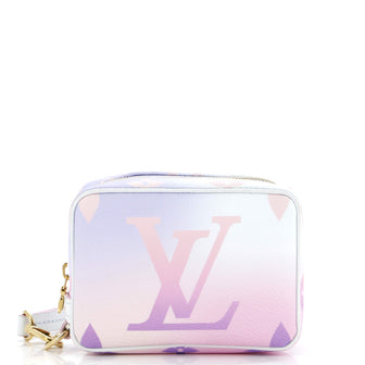 Louis Vuitton Wapity Case Spring in the City Monogram Giant Canvas