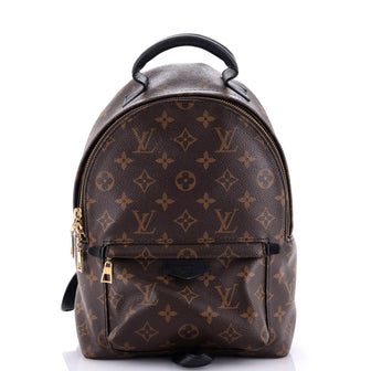 Louis Vuitton Palm Springs Backpack Monogram Canvas PM