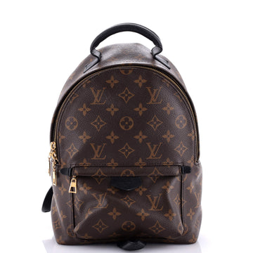 Louis Vuitton Palm Springs Backpack Monogram Canvas PM
