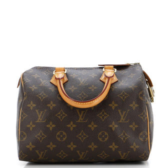 Louis Vuitton Speedy Handbag Monogram Canvas 25