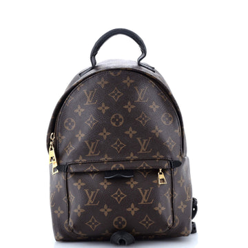 Louis Vuitton Palm Springs Backpack Monogram Canvas PM