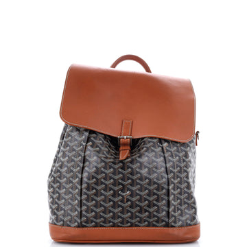 Goyard Alpin Backpack Coated Canvas MM