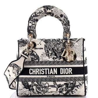 Christian Dior Lady D-Lite Bag Embroidered Canvas Medium