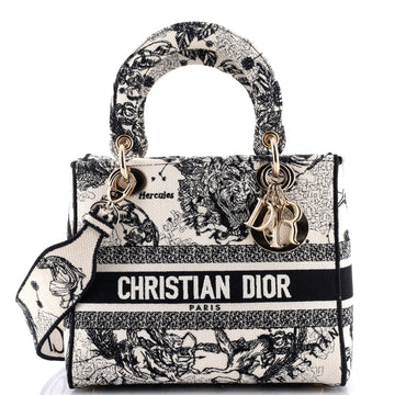 Christian Dior Lady D-Lite Bag Embroidered Canvas Medium