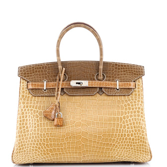 Hermes Birkin Handbag Tricolor Shiny Porosus Crocodile with Palladium Hardware 35